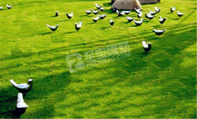 城市公園園林小品鏡面鳥(niǎo)不銹鋼雕塑定制